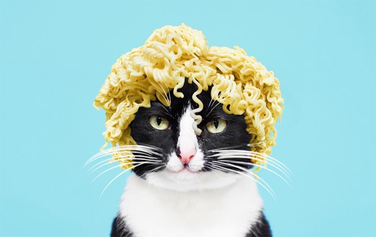 ramen cat plush