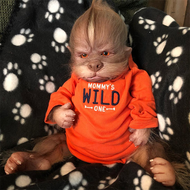 baby werewolf doll