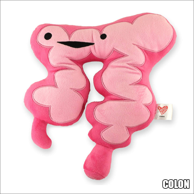 organ stuffed animals