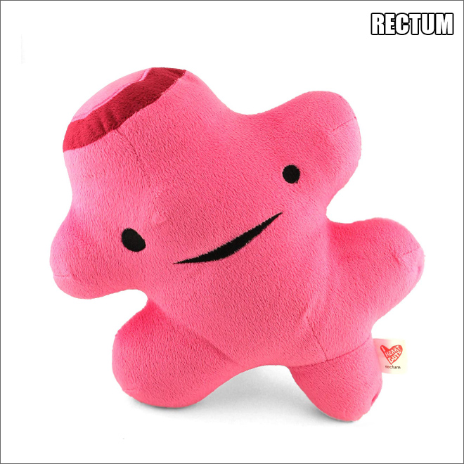 organ stuffed animals