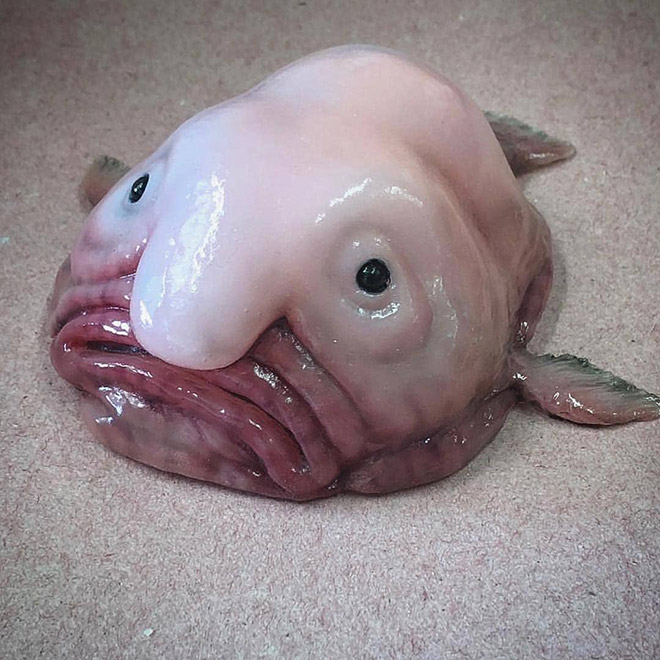 Funny deep sea fish.
