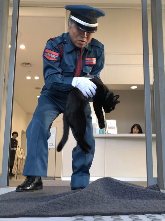Cat getting politely kicked out of a museum.