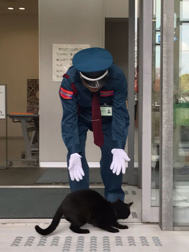 Black cat refused an entrance into the museum.