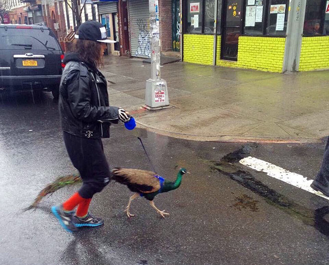 Hipster with her pet.