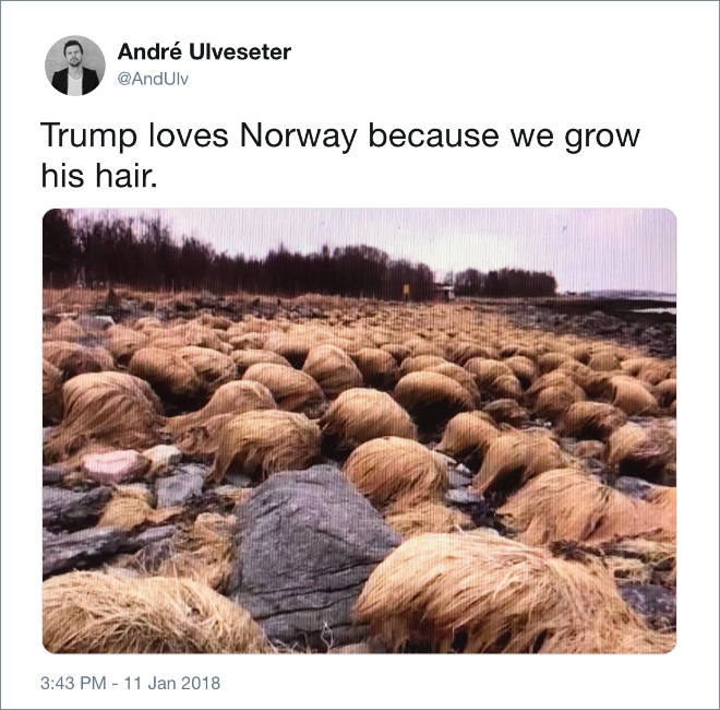Trump loves Norway because we grow his hair.