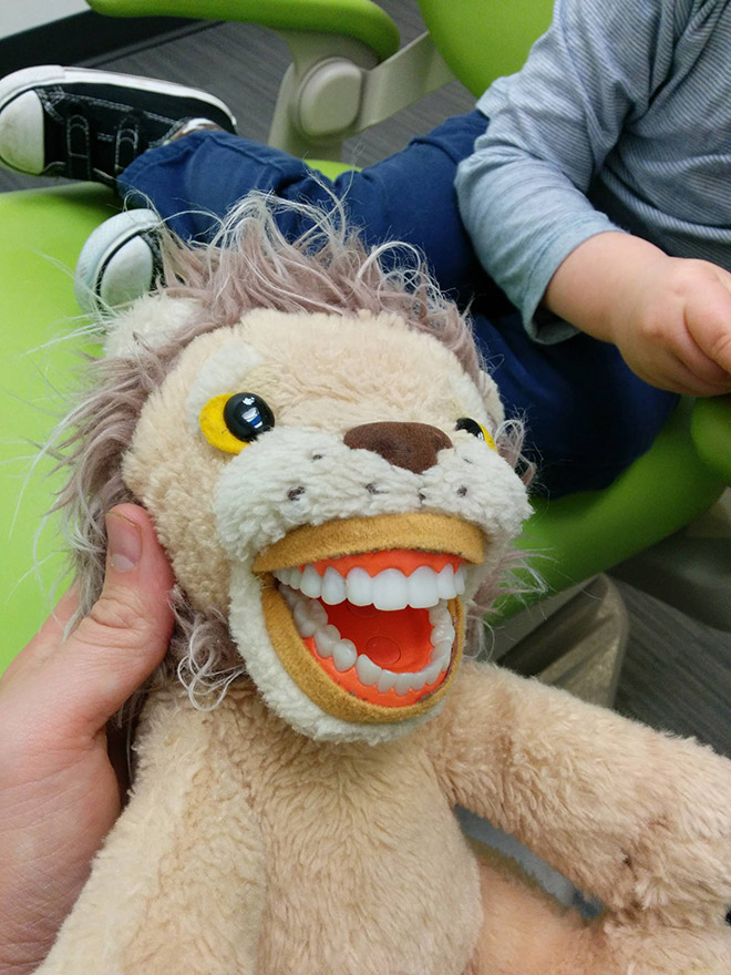 Creepy stuffed educational dentist toy for kids.