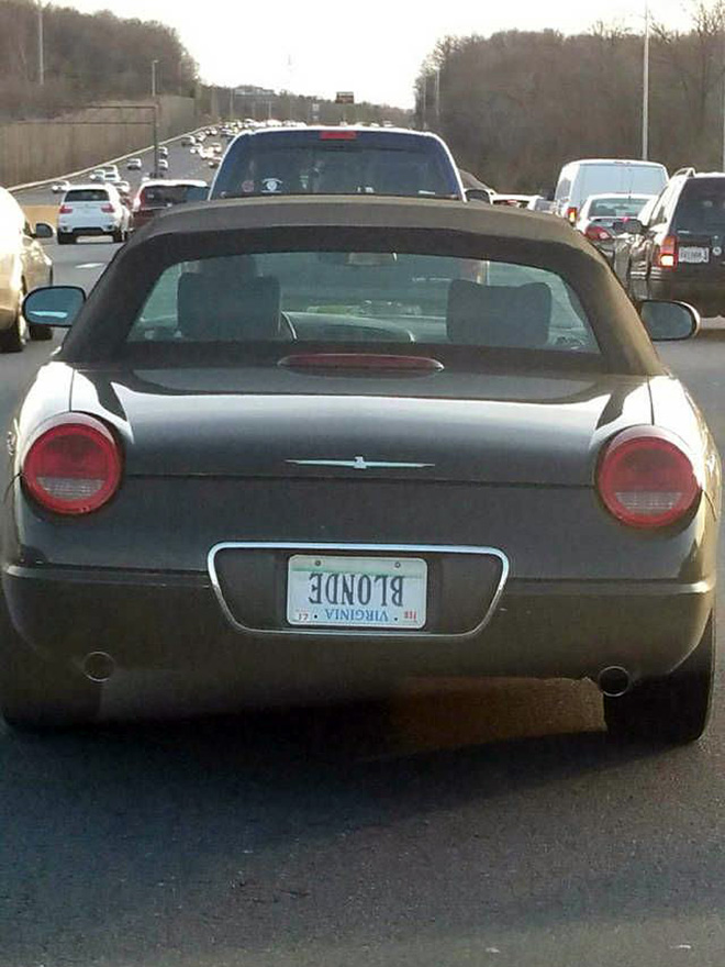 Funny licence plate.