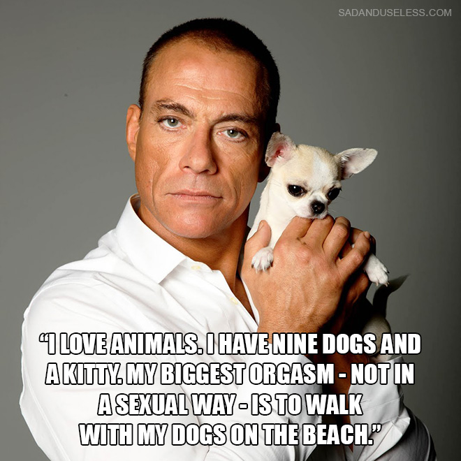 "I love animals. I have nine dogs and a kitty. My biggest orgasm - not in a sexual way - is to walk with my dogs on the beach."
