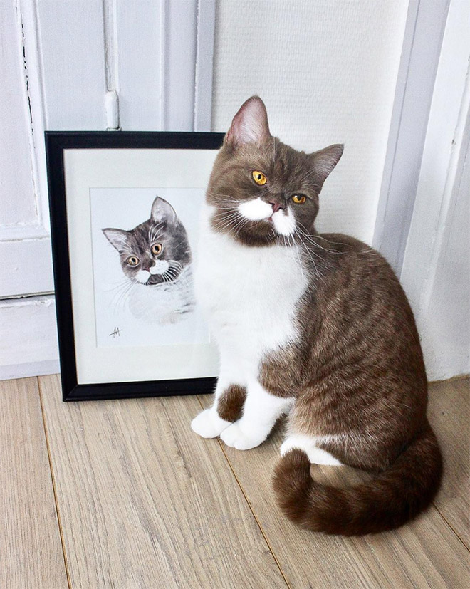 This is Gringo: the mustached cat. He's awesome, right?