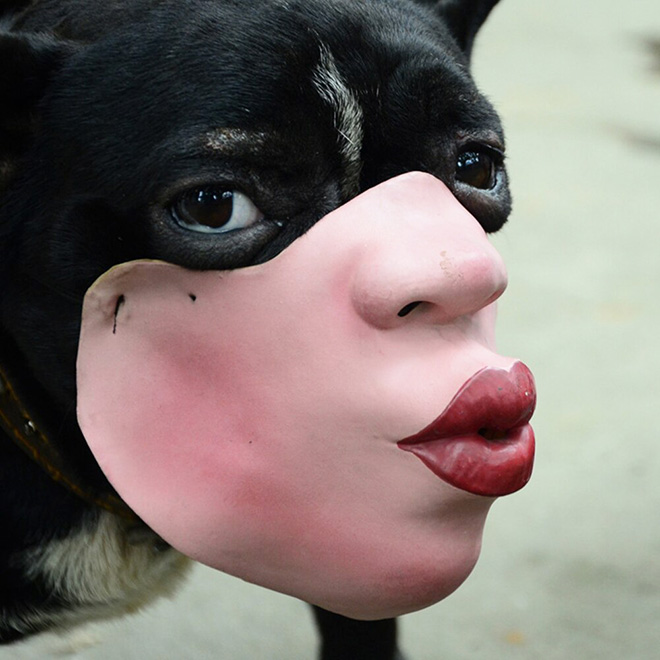 dog muzzle for humans