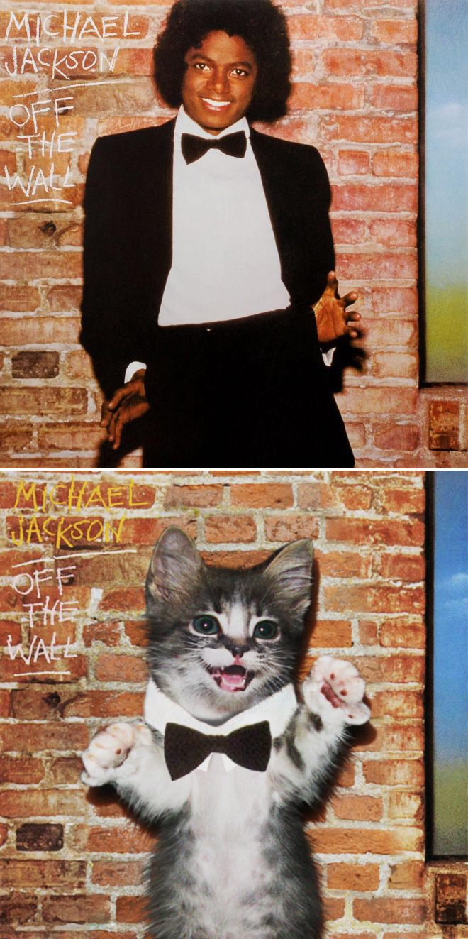 Iconic album cover recreated with kittens.