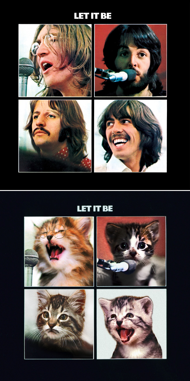 Iconic album cover recreated with kittens.