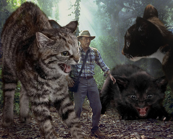 Jurassic Park: Cat Edition.