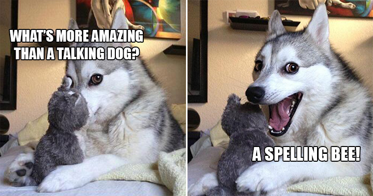 Bad Puns Dog