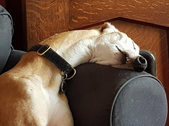 Funny sleeping position.