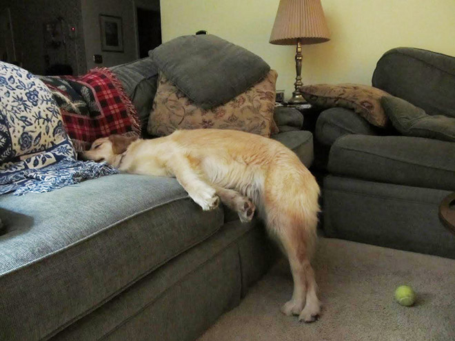 Funny sleeping position.