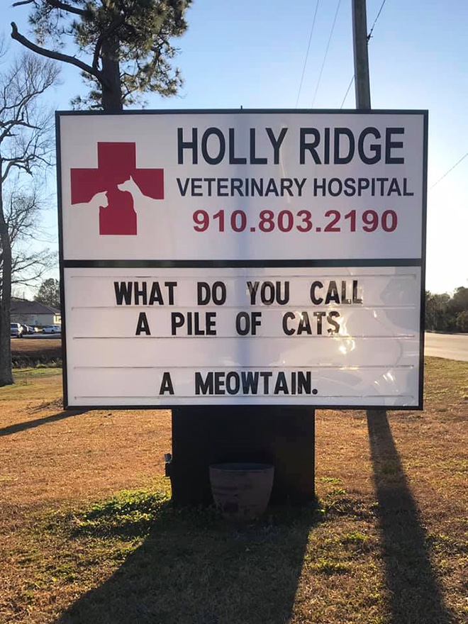 Funny vet sign.