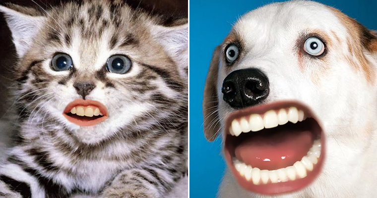 Animals Look Terrifying With Human Mouths