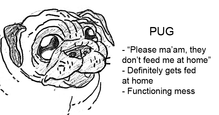 Hilarious guide best sale to dog breeds
