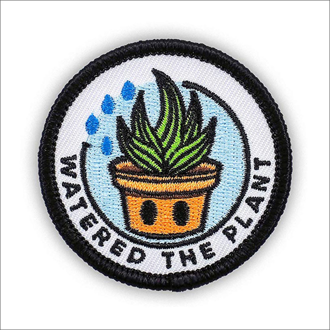 Watered the plant.