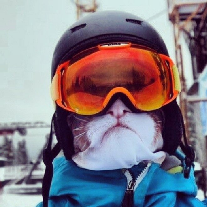 Funny ski mask.