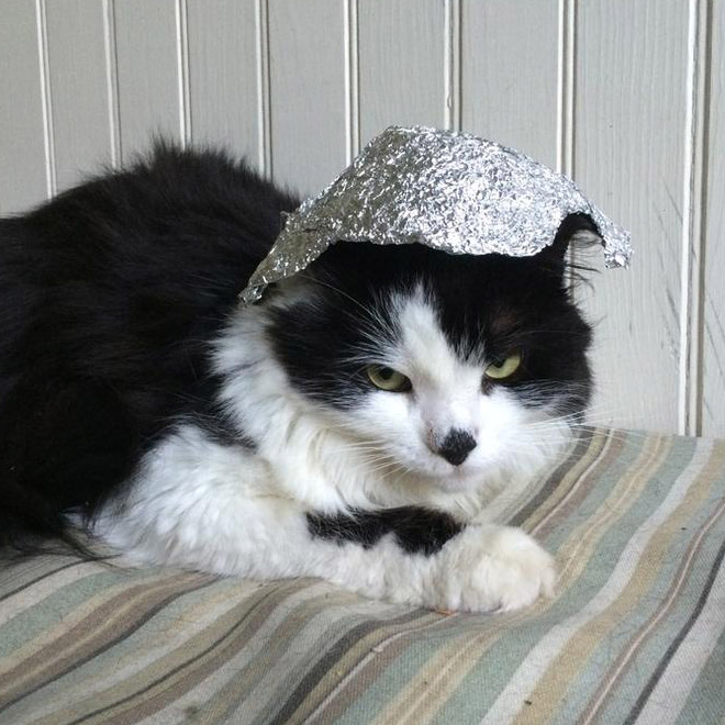 Tin foil hat against mind control!