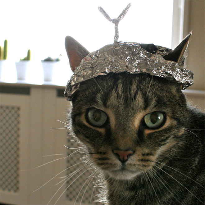 Tin foil hat against mind control!