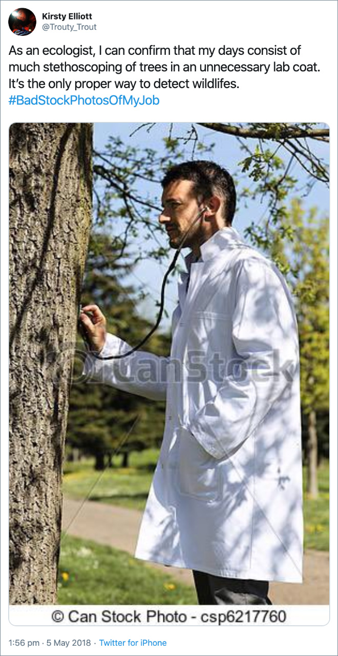 As an ecologist, I can confirm that my days consist of much stethoscoping of trees in an unnecessary lab coat. It’s the only proper way to detect wildlifes.