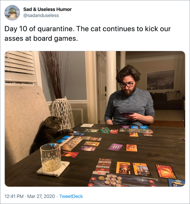 Day 10 of quarantine. The cat continues to kick our asses at board games.