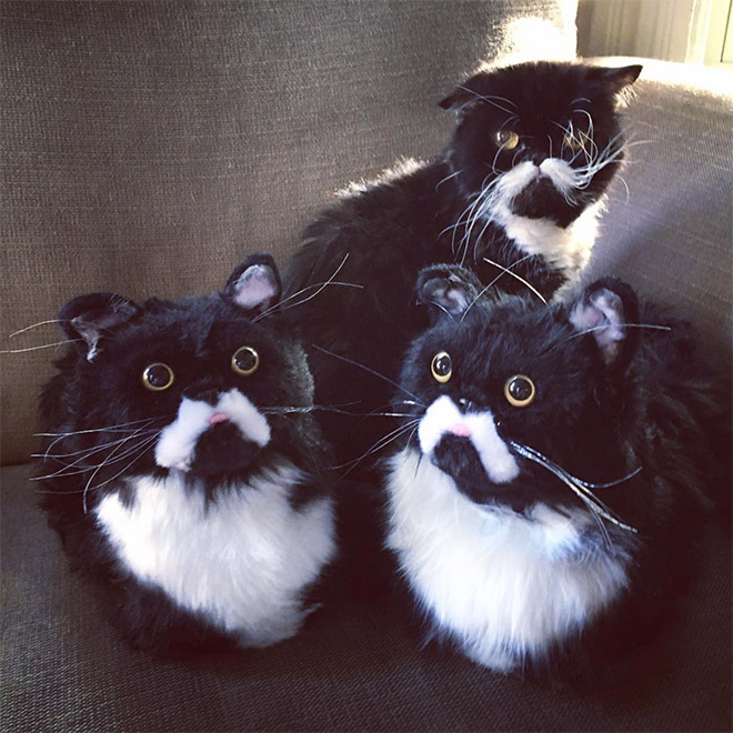 Ultra-realistic pet clone slippers.