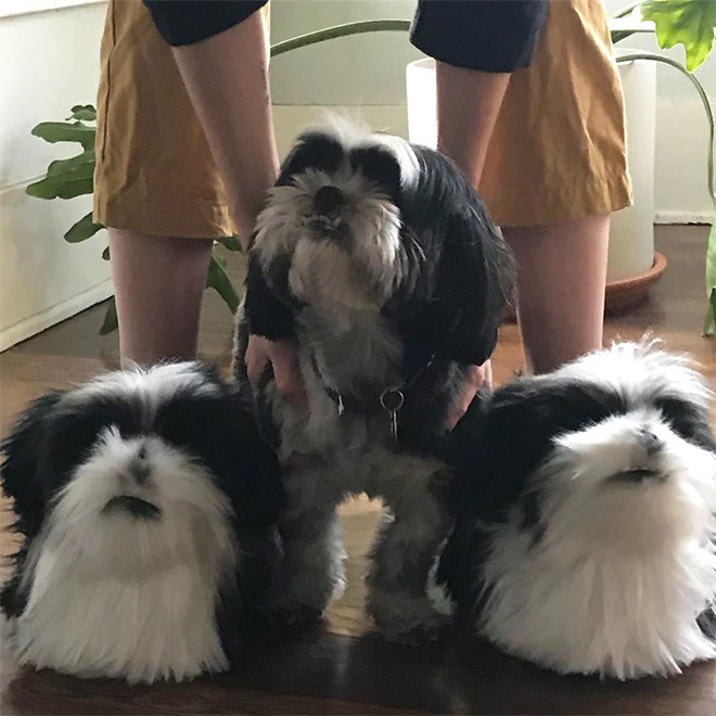 cuddle clone slippers