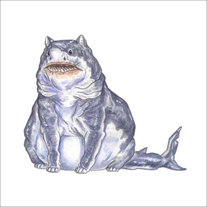 Shark cat or cat shark?