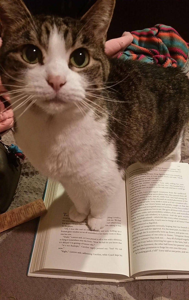 What are you reading? Let me help!