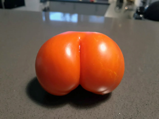 Looks like a butt, doesn't it?