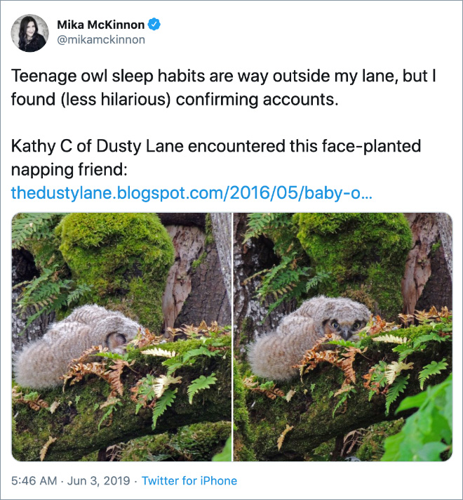 Teenage owl sleep habits are way outside my lane, but I found (less hilarious) confirming accounts.