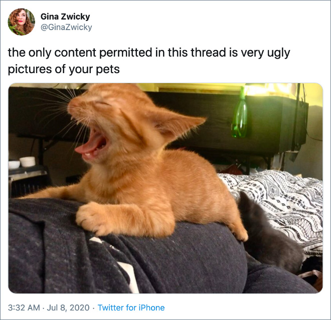 the only content permitted in this thread is very ugly pictures of your pets