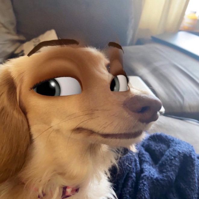 Disney eyes snapchat filter for dogs.