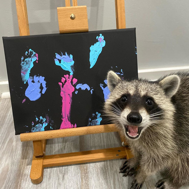Långiver Rusten Hængsel Tito The Finger-Painting Raccoon