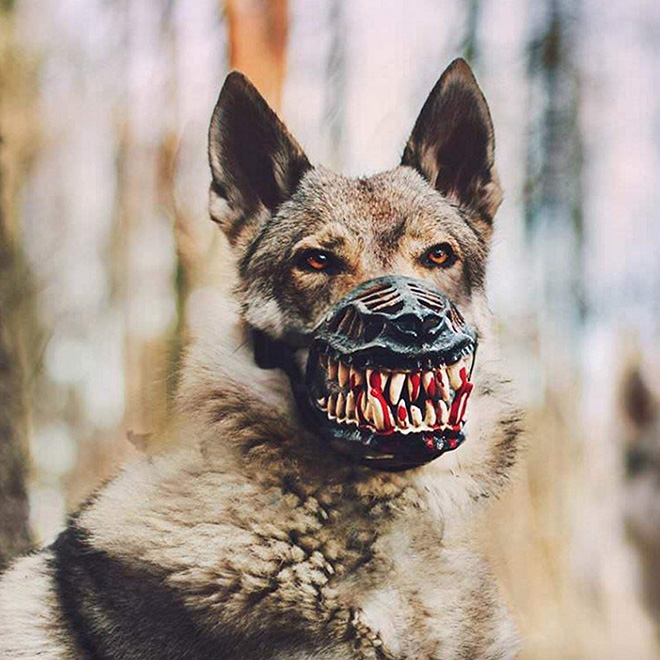 This Dog Muzzle Is Perfect To Scare The 