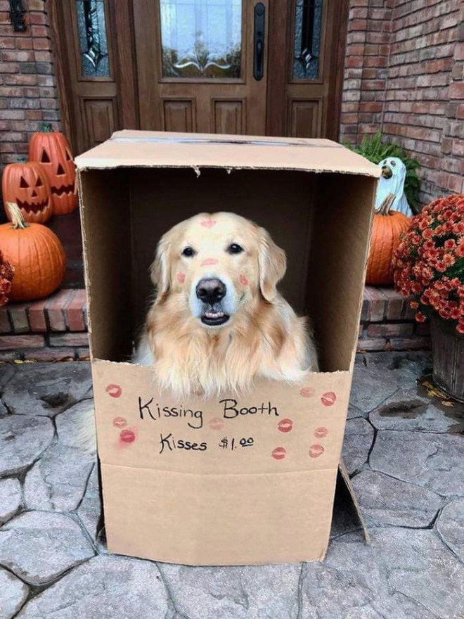 Kissing booth.