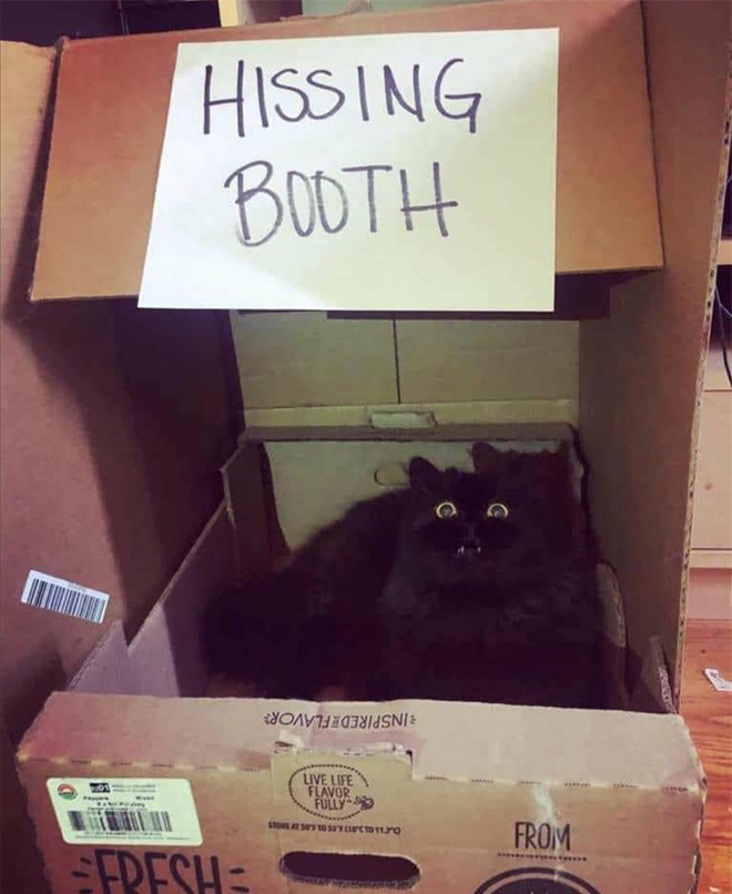 Hissing booth.