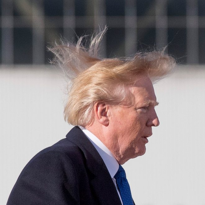 Trump vs. wind.
