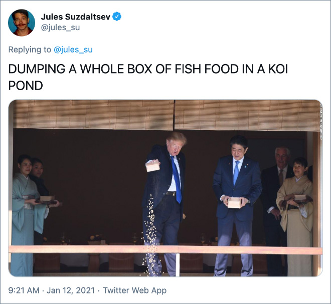 DUMPING A WHOLE BOX OF FISH FOOD IN A KOI POND