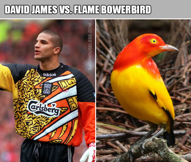90s goalkeepers really do look like birds.