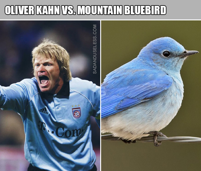 90s goalkeepers really do look like birds.