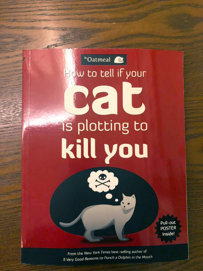 "How to Tell If Your Cat Is Plotting to Kill You" by Matthew Inman