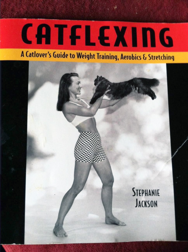 "Catflexing" by Stephanie Jackson