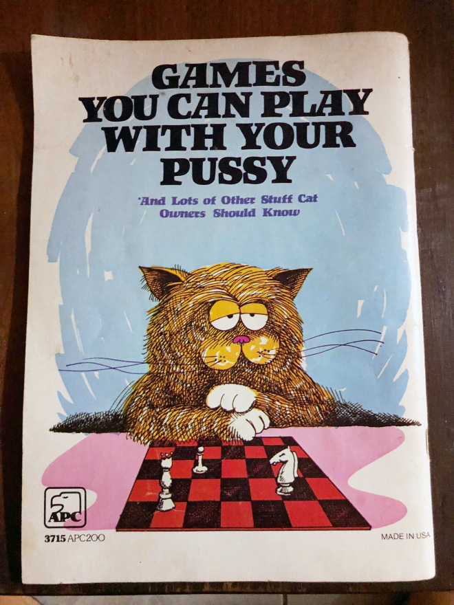 "Games You Can Play With Your Pussy" by Ira Alterman