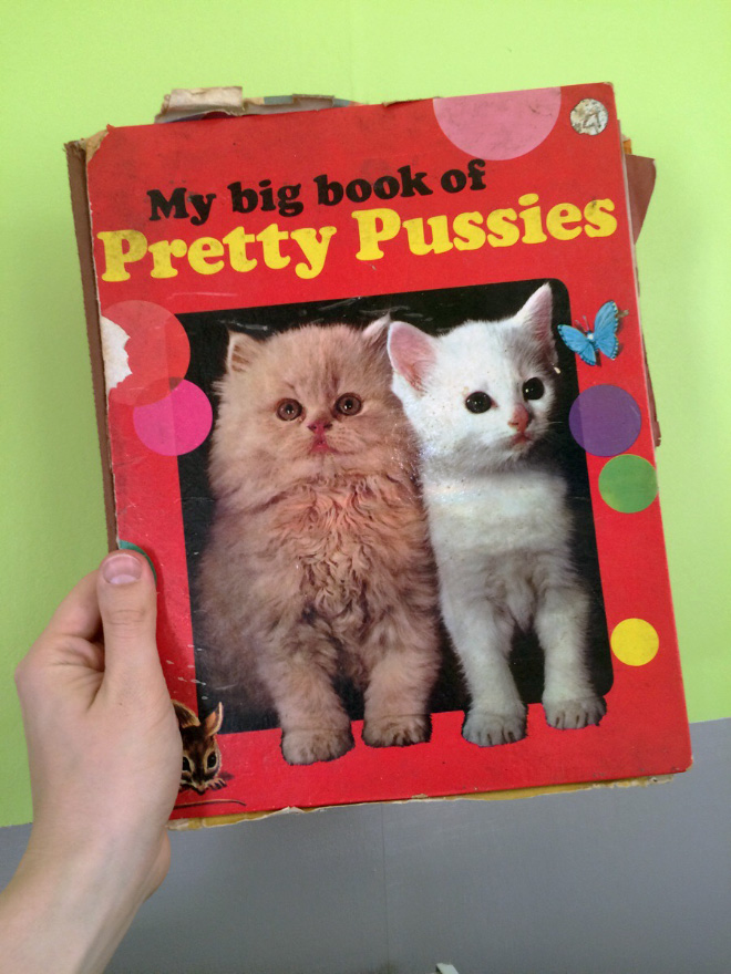 "My Big Book of Pretty Pussies" by Charels A. Pemberton