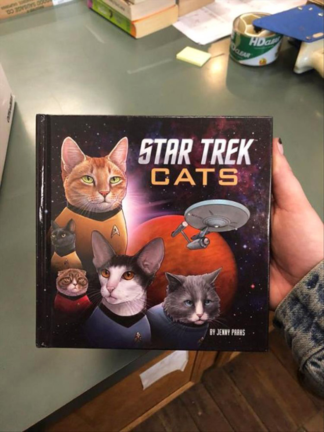 "Star Trek Cats" by Jenny Parks